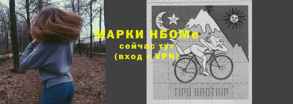 ГАЛЛЮЦИНОГЕННЫЕ ГРИБЫ Алзамай