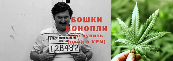 ГАЛЛЮЦИНОГЕННЫЕ ГРИБЫ Алзамай