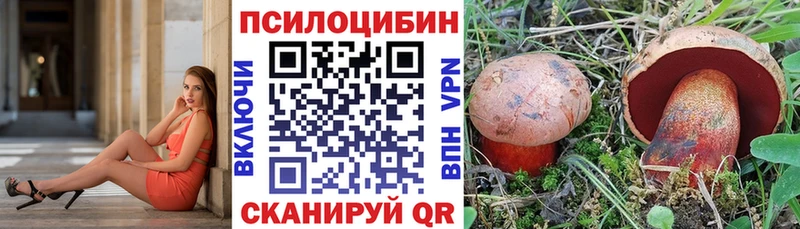 как найти наркотики  Киреевск  Псилоцибиновые грибы мухоморы 